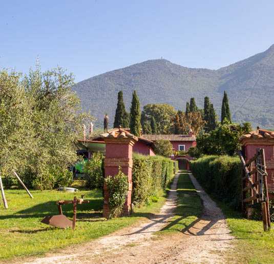 azienda agricola