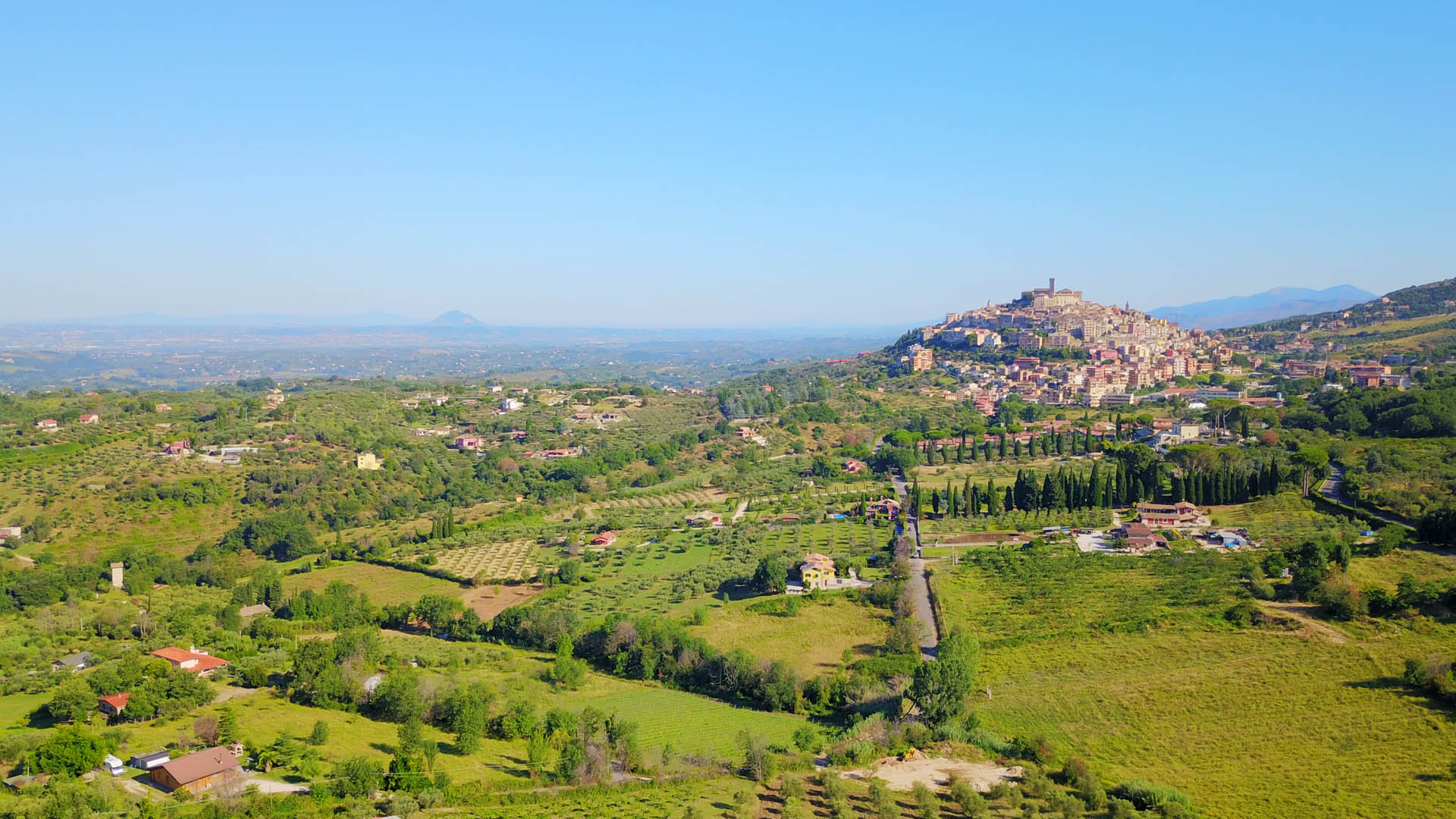 Nei dintorni azienda agricola